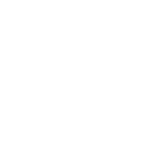 Immigration & Citizenship Services